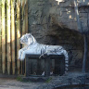 Meet your Posher, Jonah